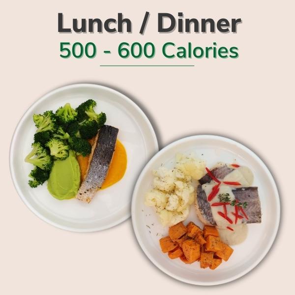 500-600 Kcal / Meal (Lunch / Dinner Only) | Diet Your Way